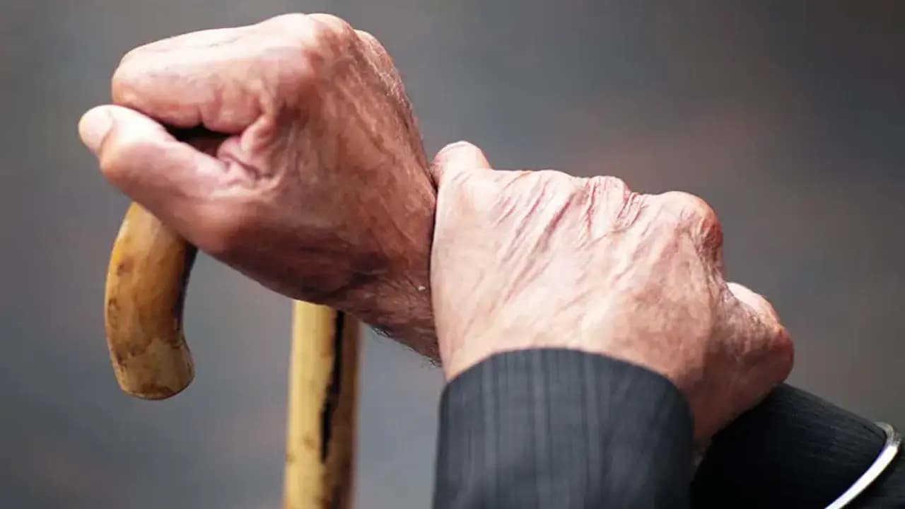 Best Senior citizen FDs for in 2026