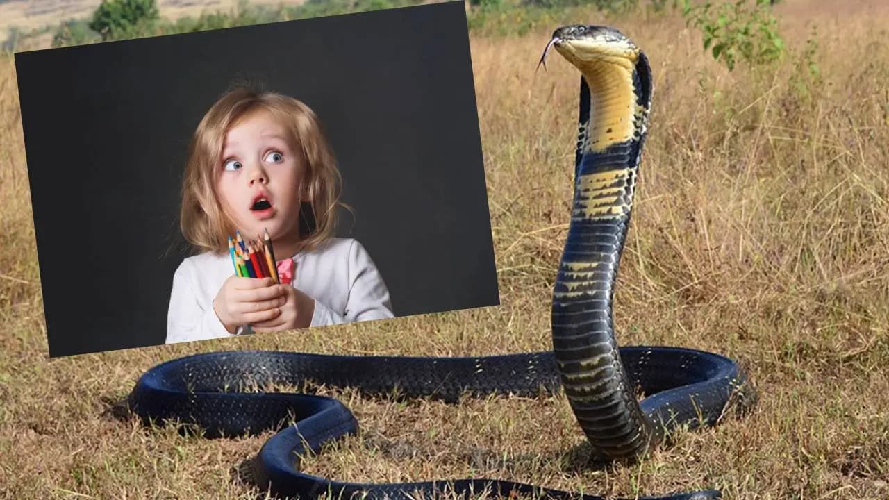 Everyday language makes snake fear among children life