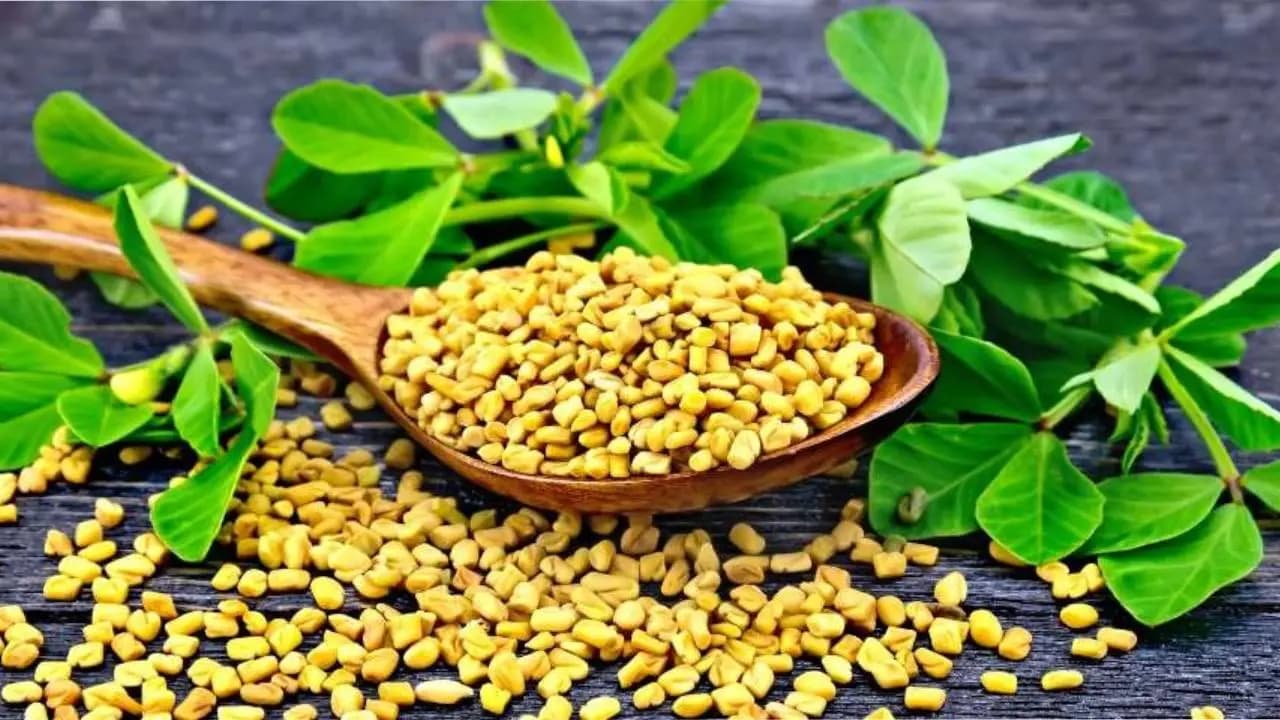 Fenugreek money tips for success