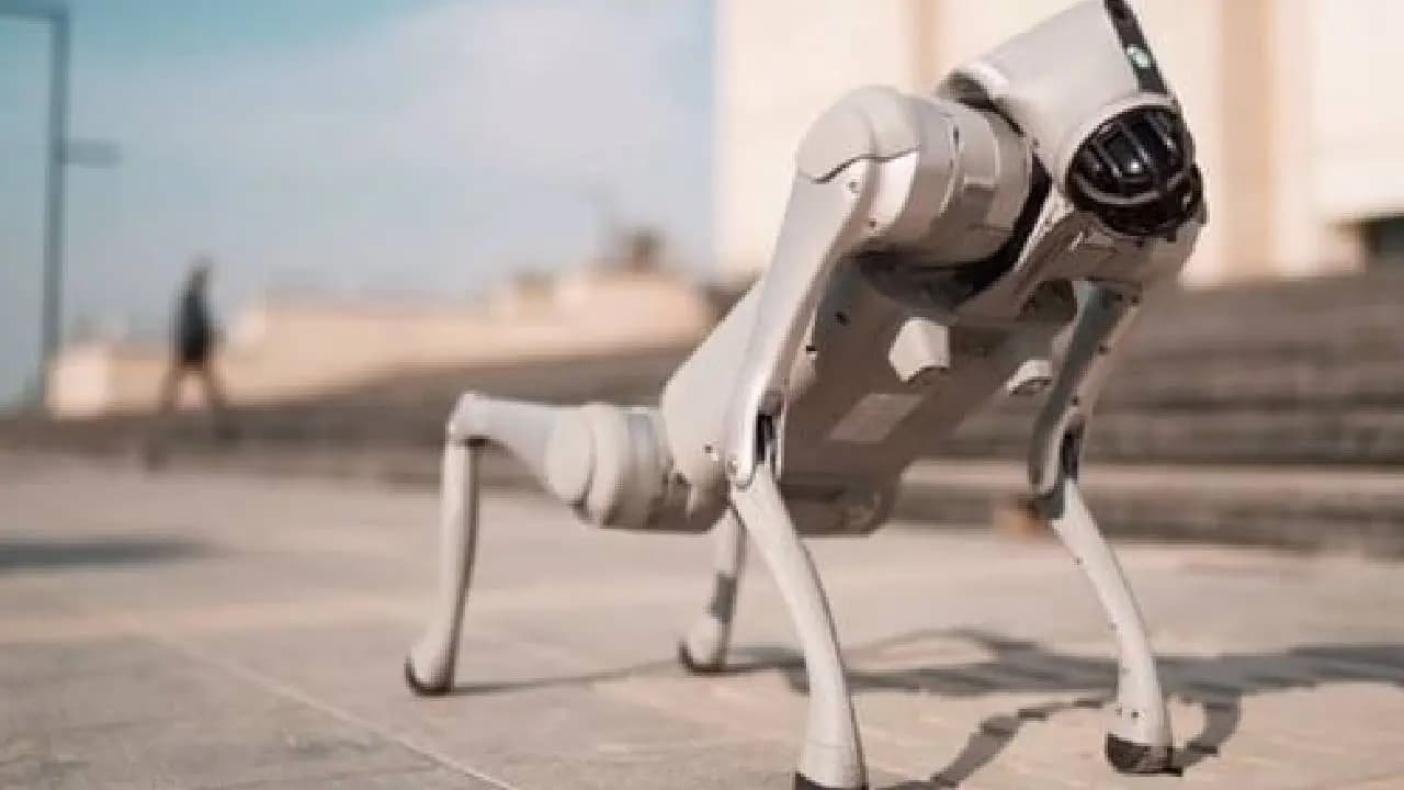 Galgotias University asked to vacate AI Summit after row over Chinese robodog 