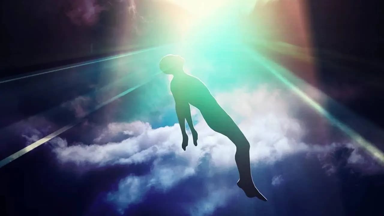 After death brain activity new research