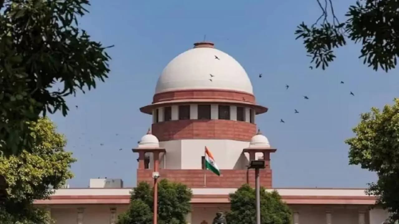 AI is used while drafting petition says supreme court