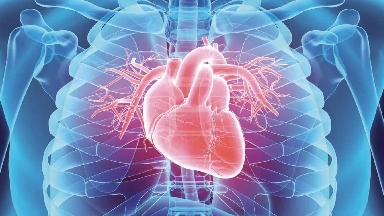 Heart Problem: Can Bedroom Temperature Cause Heart Problem Check Experts Opinion 