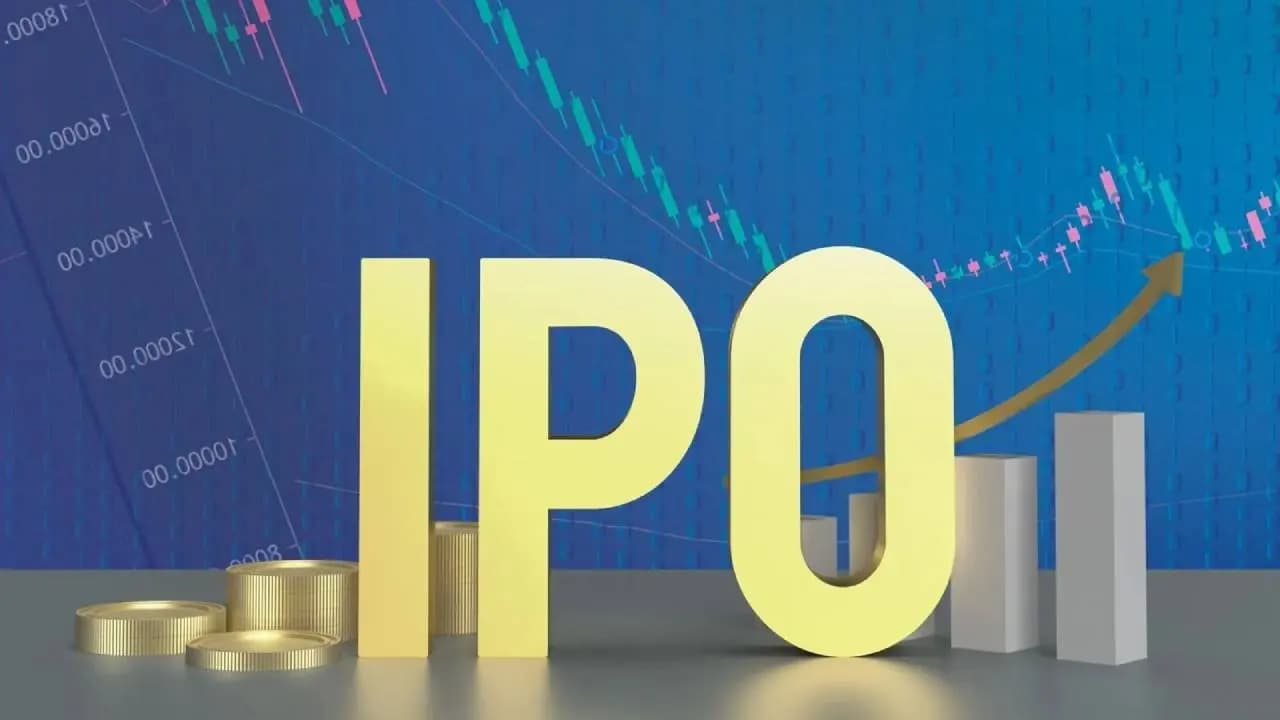 Investing in IPO makes smile for Indian investor 