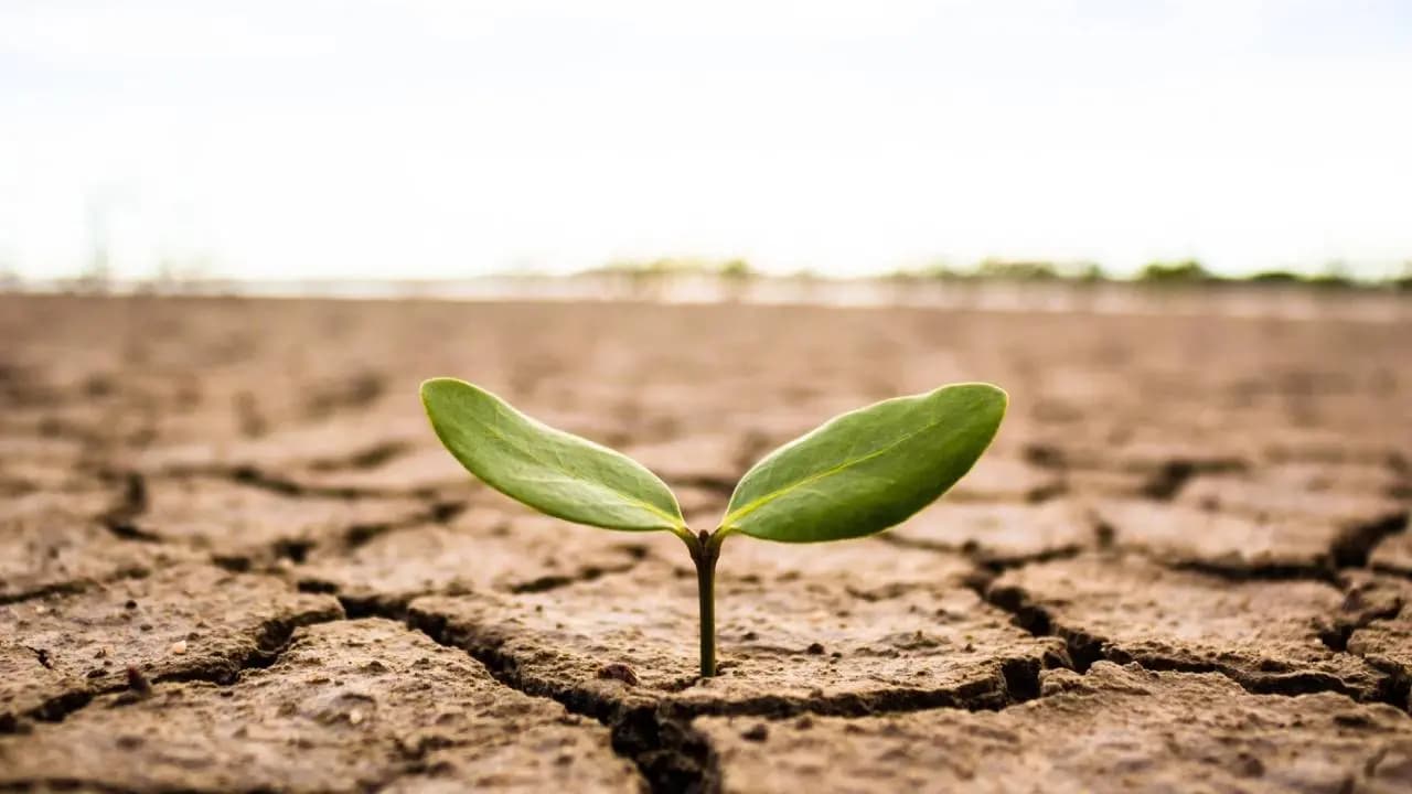 Why 2026 could turn into a Super El Nino year