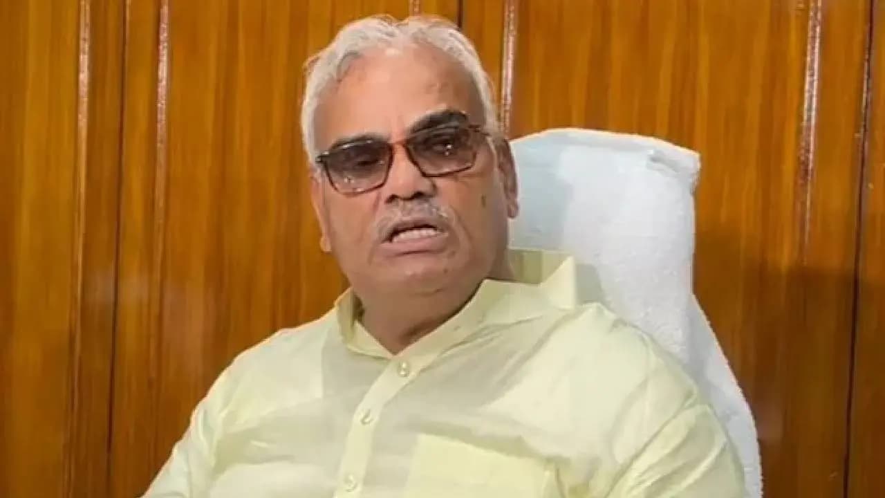 Cow milk better for IQ than buffalo milk Minister claim meets scientific scrutiny