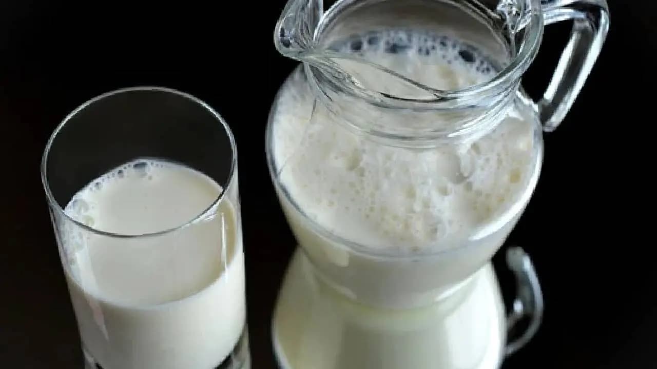 Four die in Andhra Pradeshs Rajamahendravaram after consuming adulterated milk 