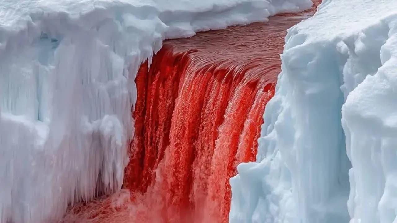 Antarctica Red Colour Blood Waterfall Mystery Stunned Scientists For 100 Years