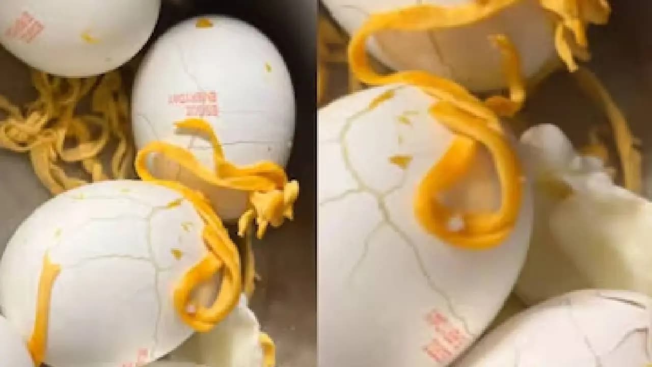 Woman Claims Plastic Came Out Instead Of Yolk From Eggs Company Issues Statement 
