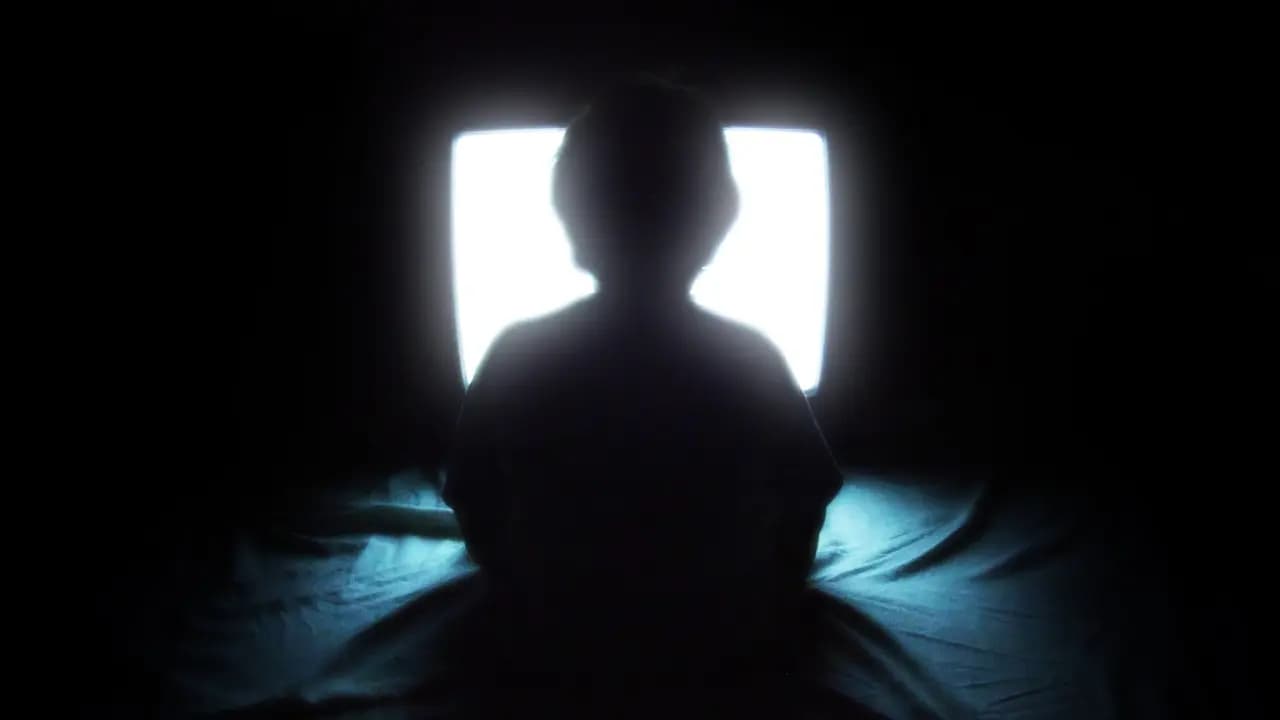 2001 patent for Nervous System Manipulation by Electromagnetic Fields from Monitors