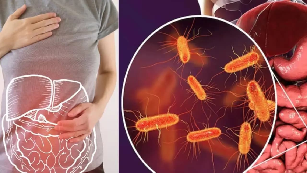 17 Year Old Girl Dies In Seven Days After Stomach Pain Rare Parasite Found During Autopsy 