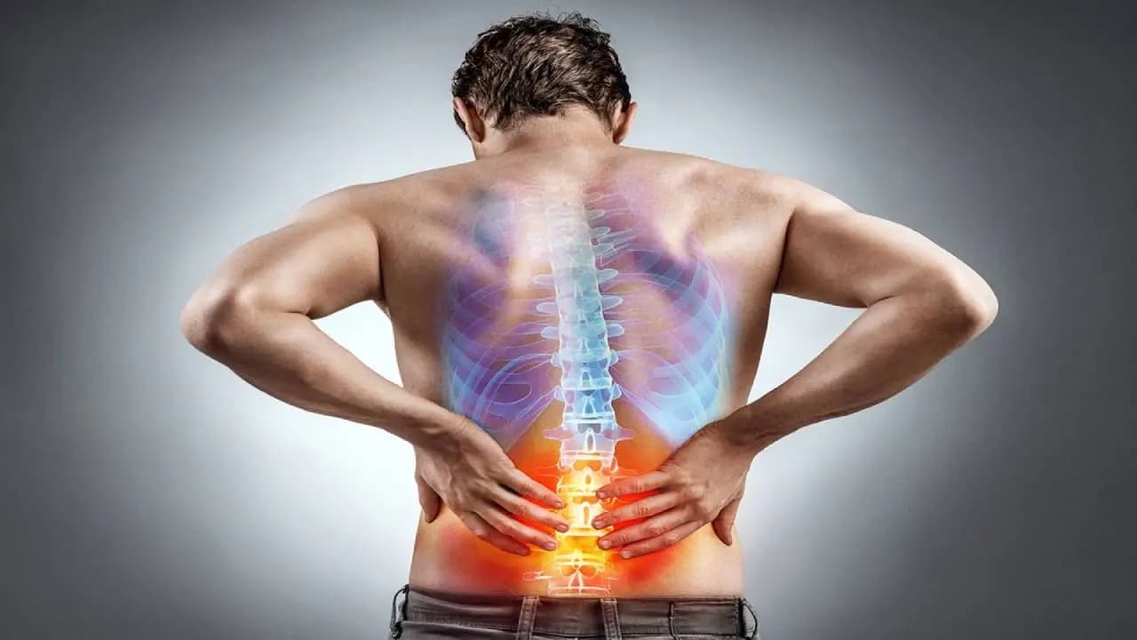 Black chickpeas for back pain relief and strong spine