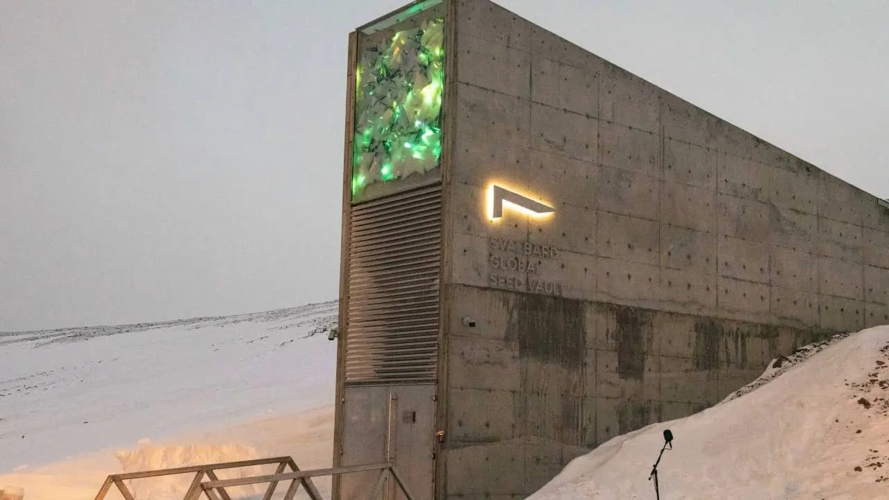 Doomsday Vault has added nearly 8000 new seed varieties from two new countries