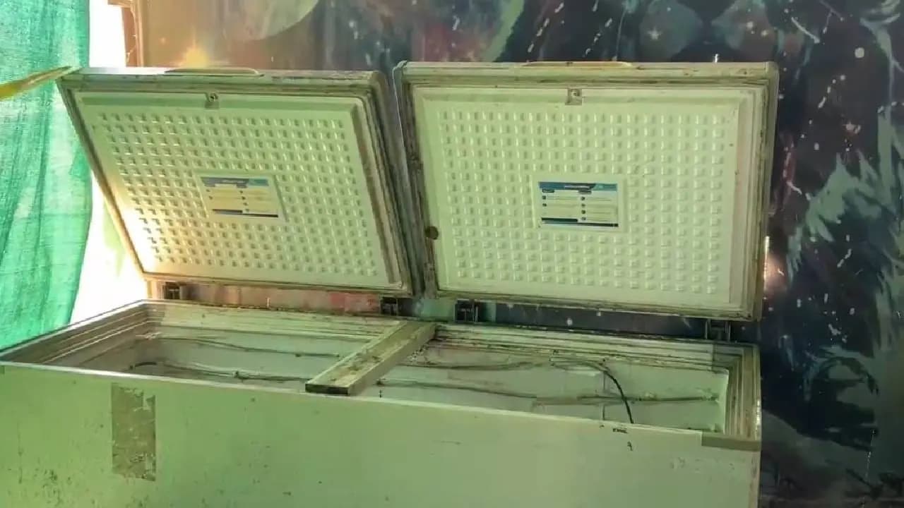 Missing Man Found Dead Inside Lucknow Biryani Shop Freezer; Investigation Underway