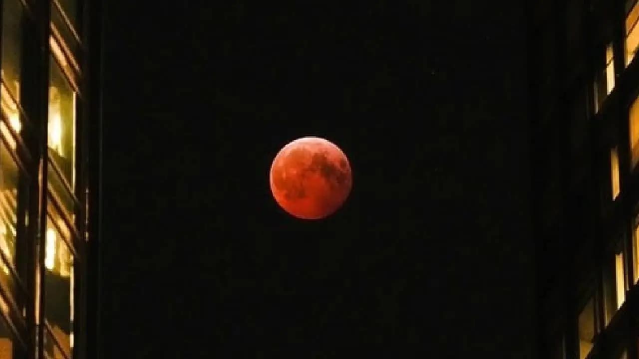 Will the lunar eclipse be visible in the US When and where to watch the blood moon 