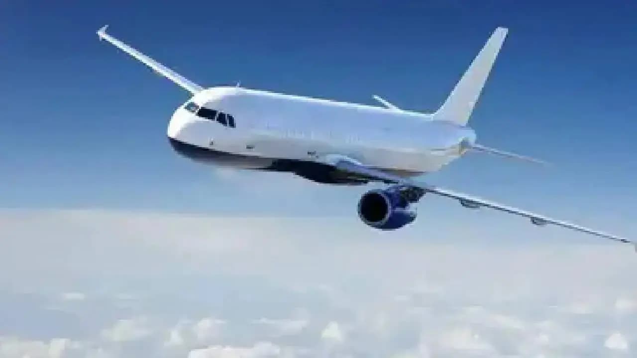 Limited Flights Begin From Dubai, Plane From Abu Dhabi Lands In Delhi 