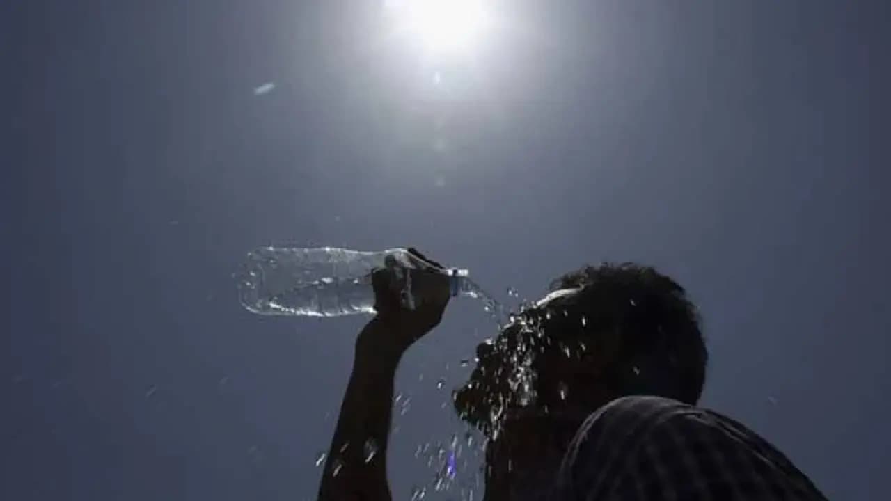 IMD issues advisory to overcome heatwave conditions in summer 