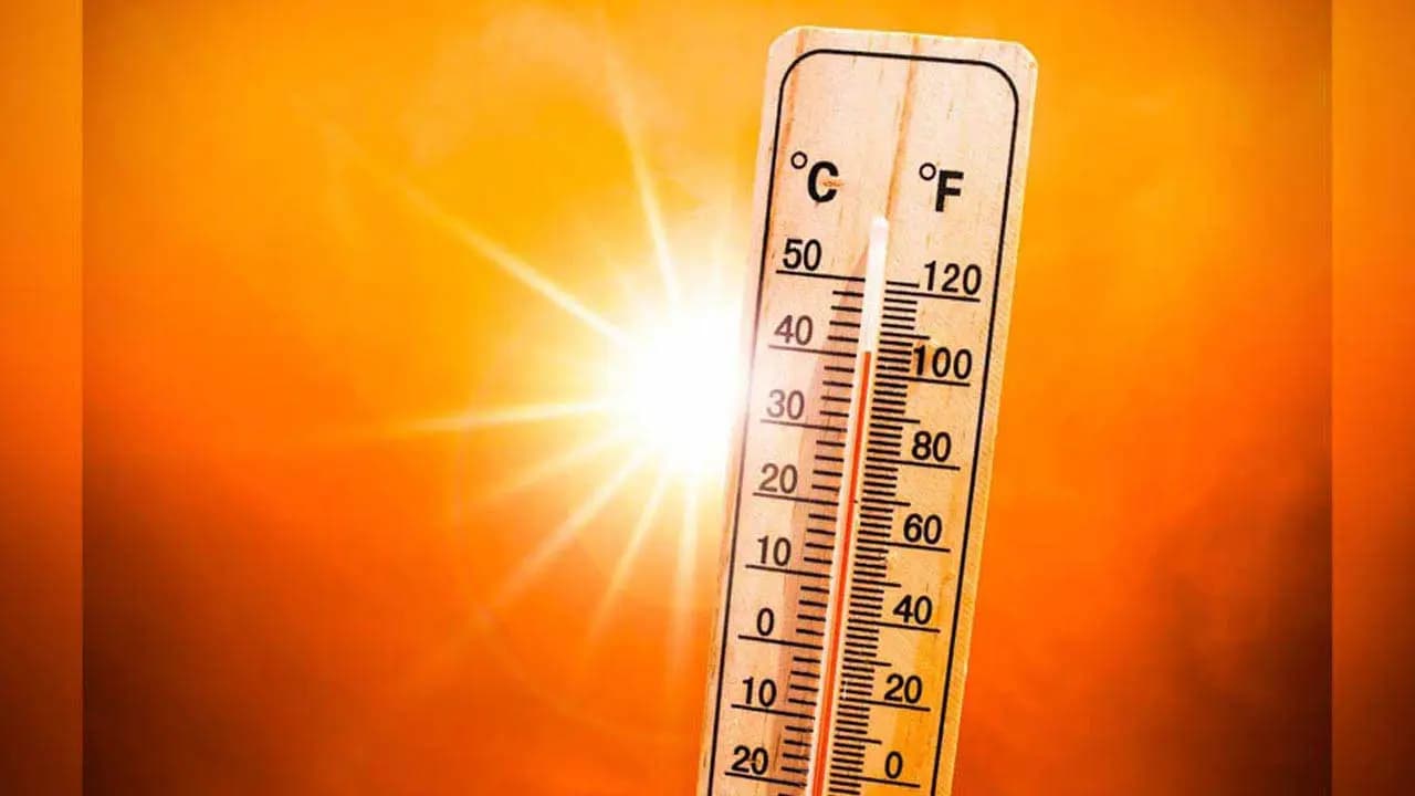 IMD Weather Update: Warm weather grips all parts of Kolkata in Holi