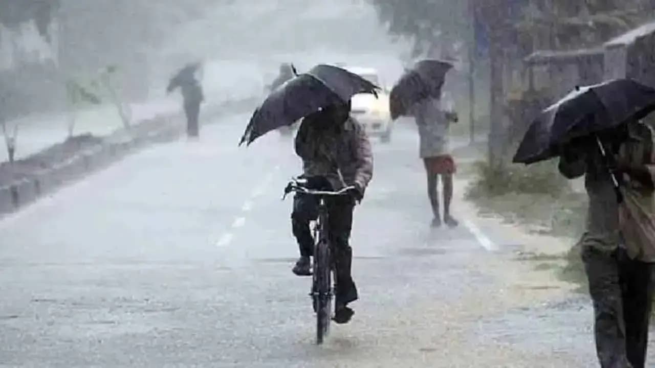 IMD weather update: Rain forecast in north and south bengal