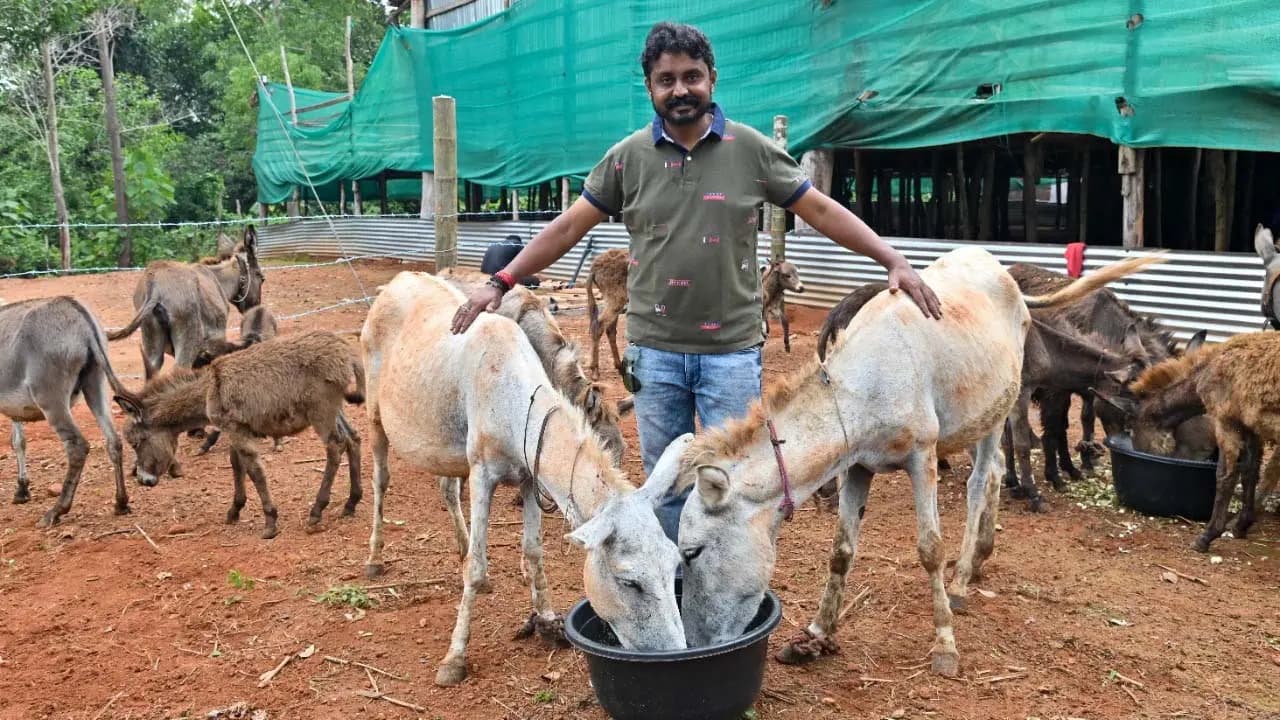 Raising donkeys will get you a maximum central government subsidy of up to RS 50 lakh how to apply