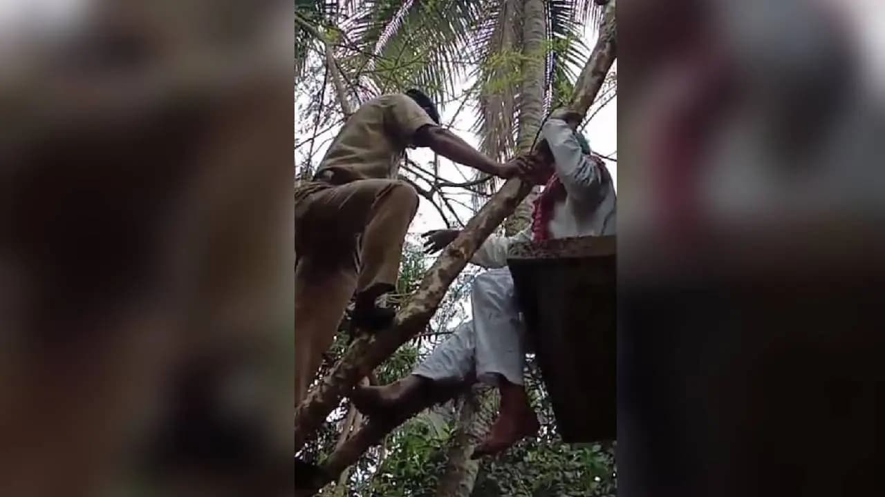 90-Year-Old Man Rescued by Firefighters After Getting Stuck in Amla Tree in Katwa