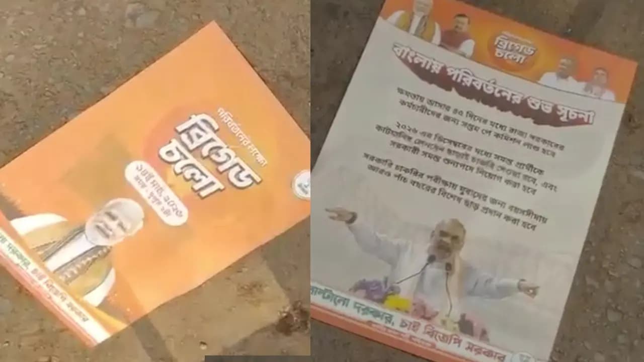 Mamata Banerjee Slams BJP Over Leaflet Distribution at TMC Dharna; Orders Action