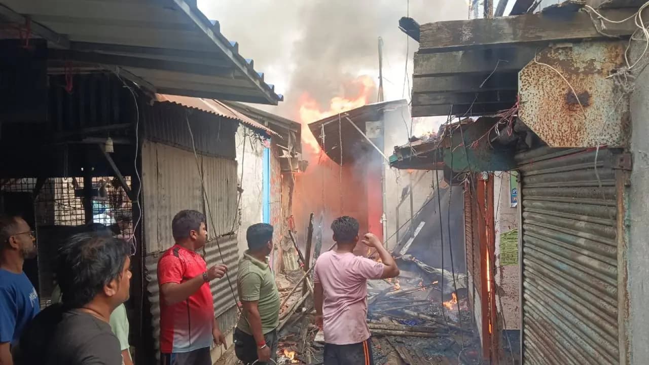 Massive Fire Breaks Out Near Gobardanga Station; Train Services Disrupted as Shops Gutted