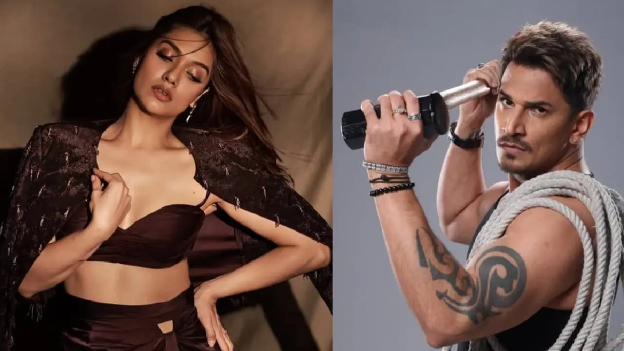 Divya Agarwal Alleges Harrasment Threats from Prince Narula's Fans; Reality Stars Clash Online