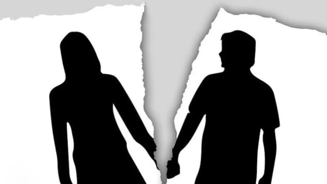 Hansika Motwani and Sohael Khaturiya Officially Divorced: Mumbai Family Court Grants Separation