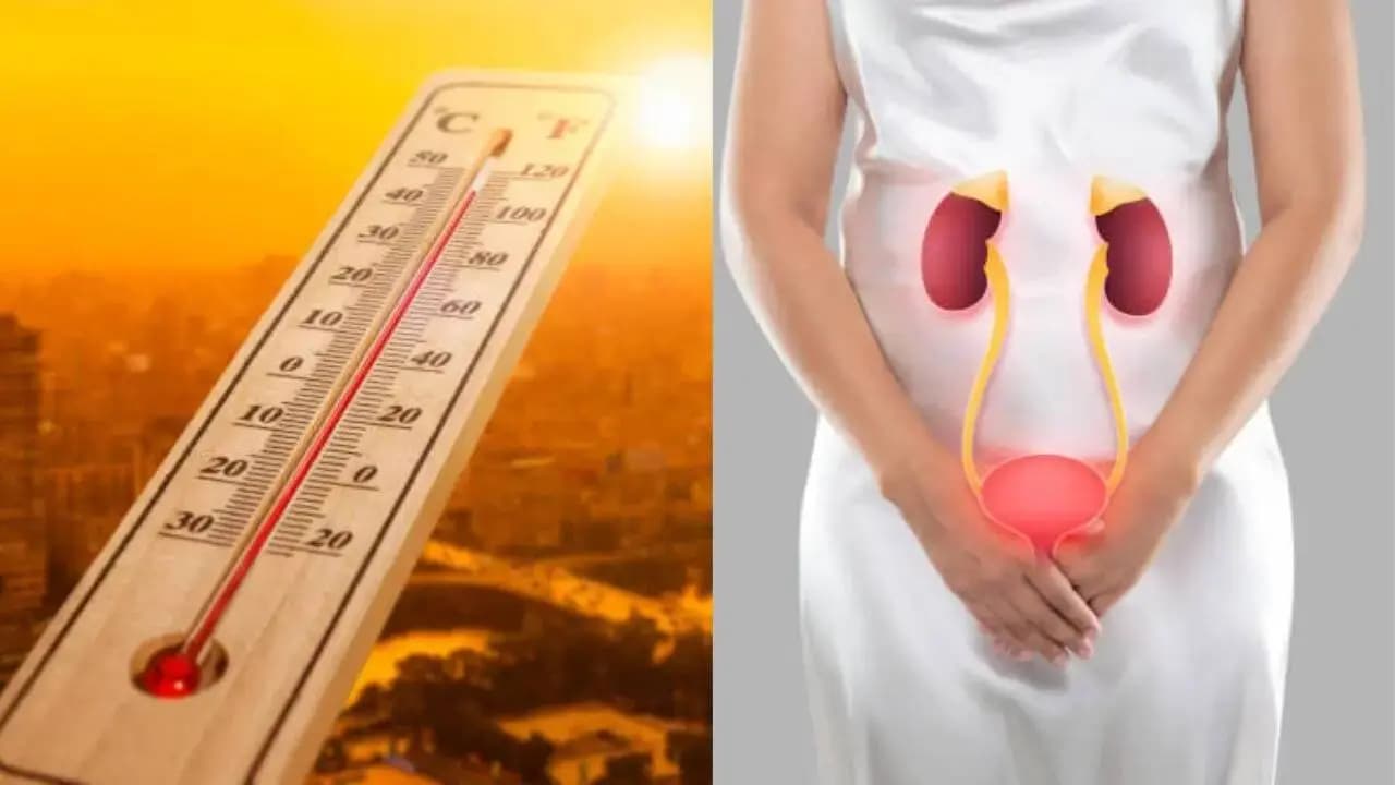 kidney health in summer