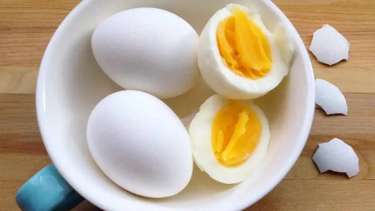 World’s Top Egg Producers: China Leads Global Output; India Secures Second Spot Ahead of USA