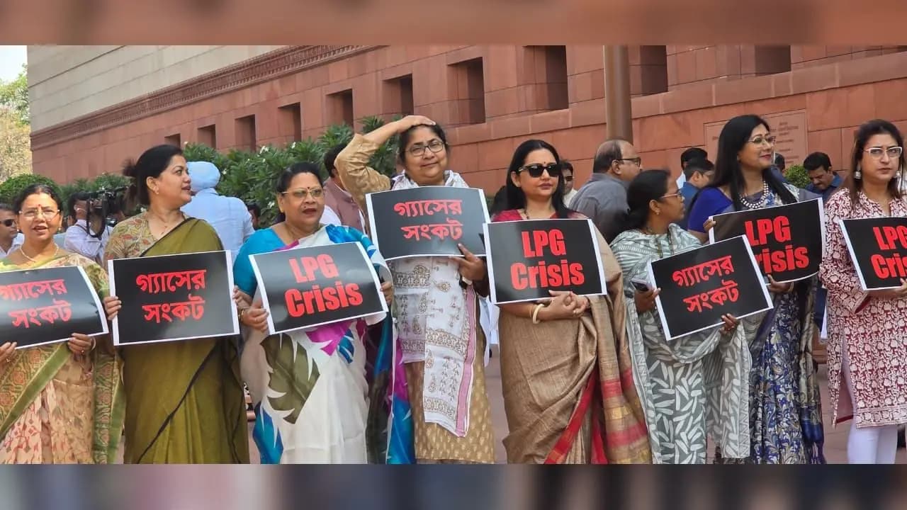 TMC MPs Protest at Parliament Over LPG Shortage