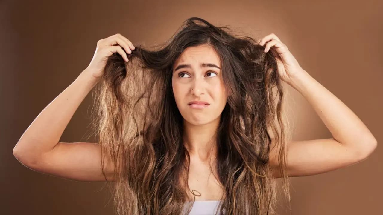 Summer Hair Care Tips: How to Protect Your Hair from Sweat, Dust and Humidity