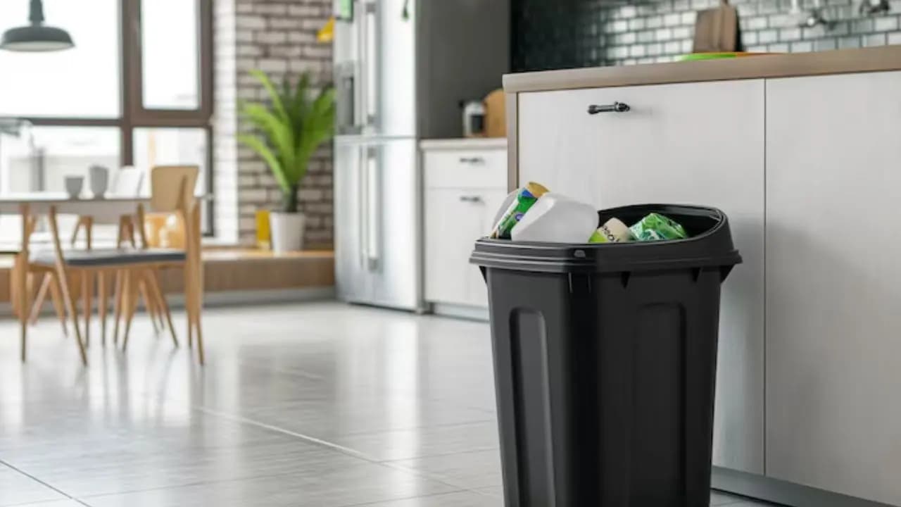 Title: Vastu Tips for Kitchen Dustbin: Correct Placement and Rules to Avoid Financial Loss