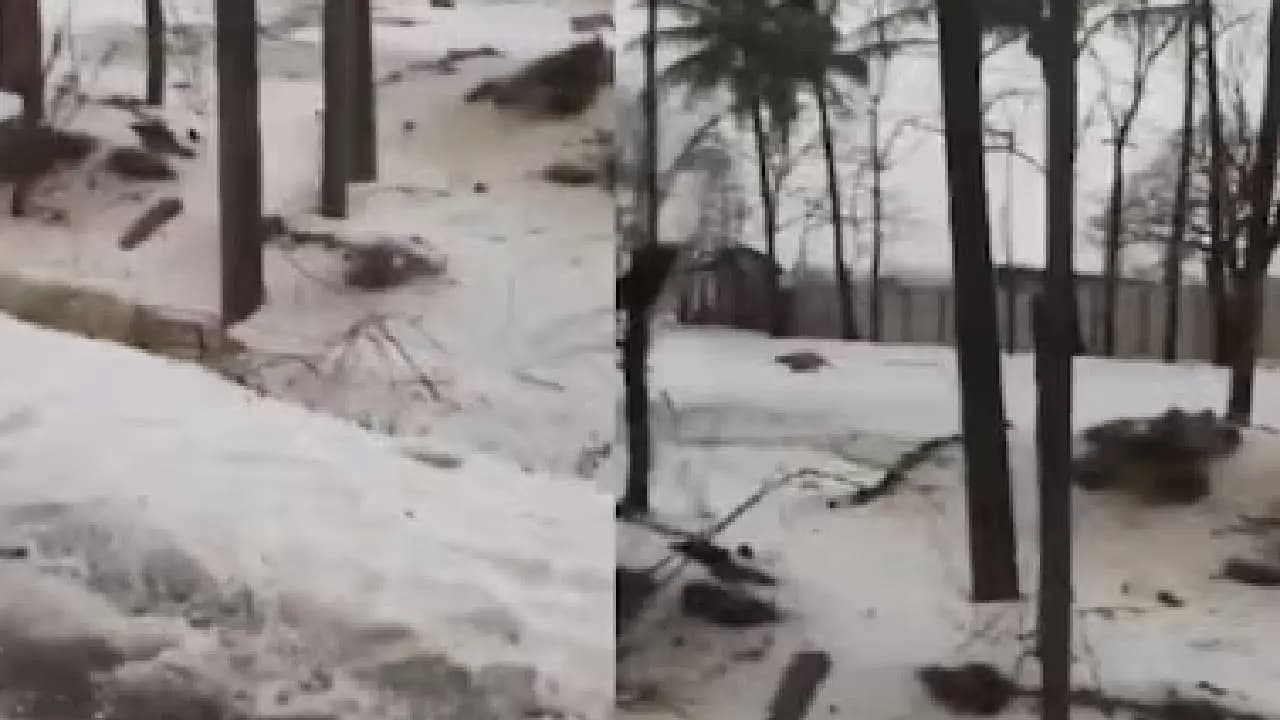 Massive Hailstorm Blankets Karnataka’s Dharwad in White, Locals Liken Scenes to Kashmir