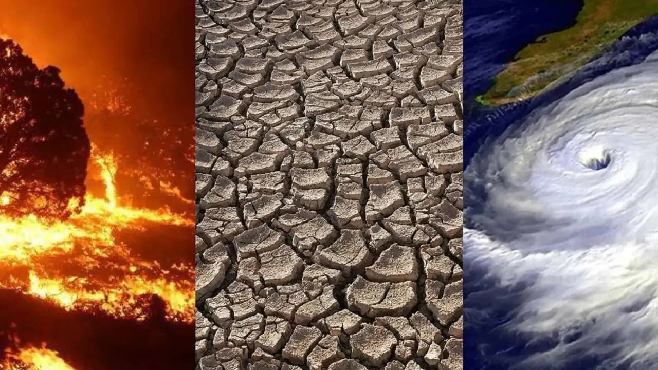 El Nino 2026: Global Weather Alert as Godzilla Event Threatens Monsoons and Agriculture