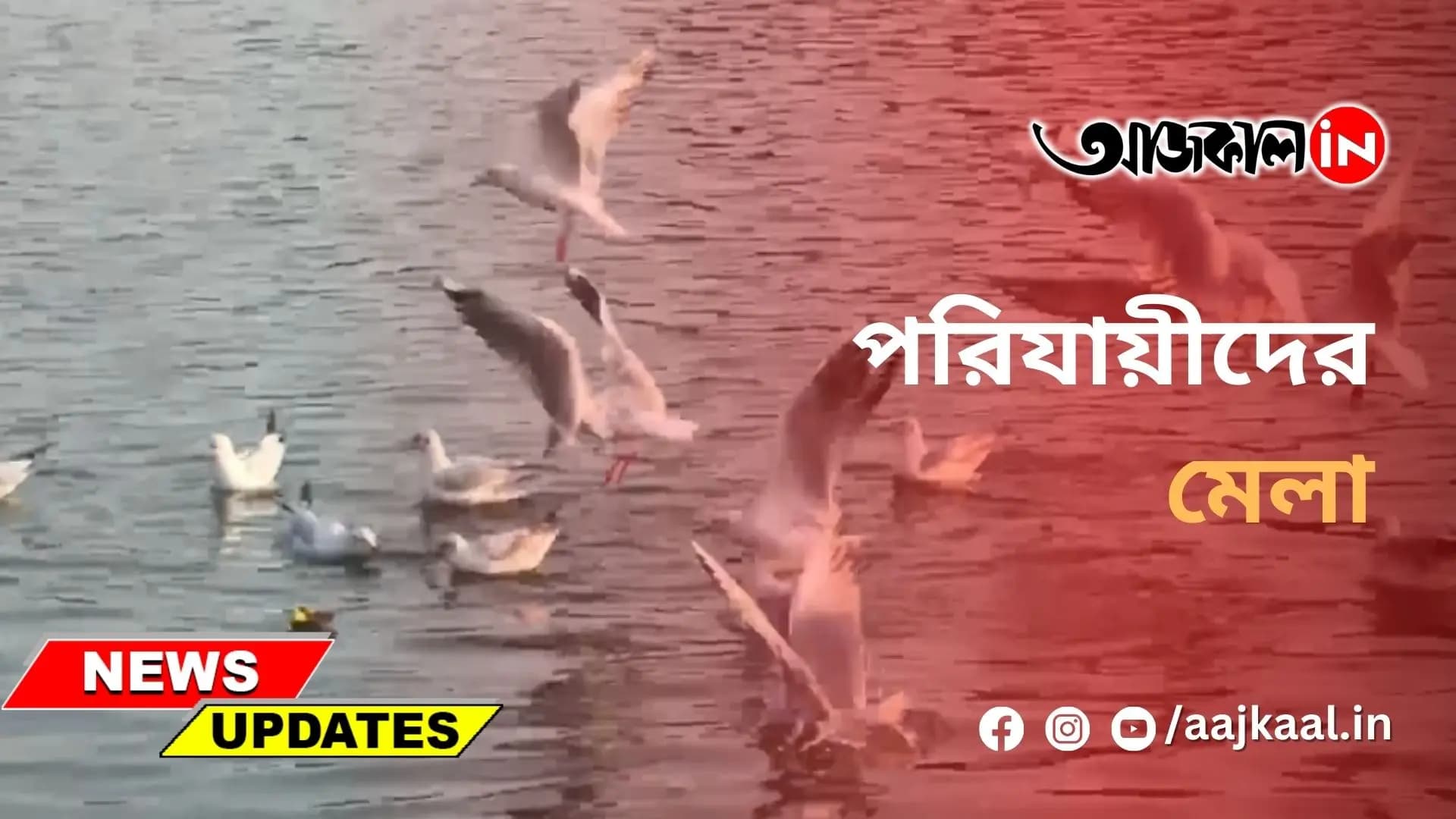 পরিযায়ীদের মেলা