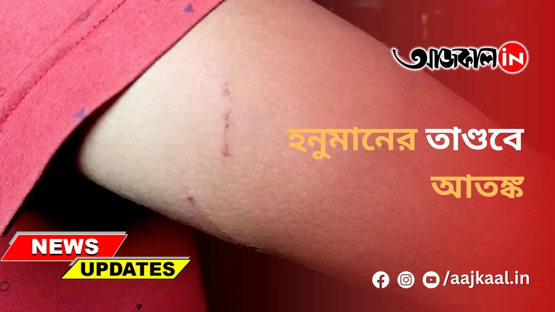 হনুমানের তাণ্ডবে আতঙ্ক