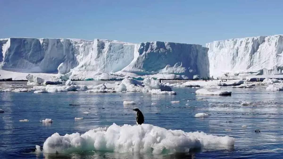Antarctic ice loss will be rapid & irreversible from 2100, these indian cities likely to go underwater gnr 