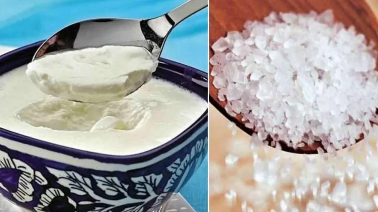 Curd and Sugar Tradition: Scientific and Astrological Reasons Behind Eating Dahi-Chini Before Work