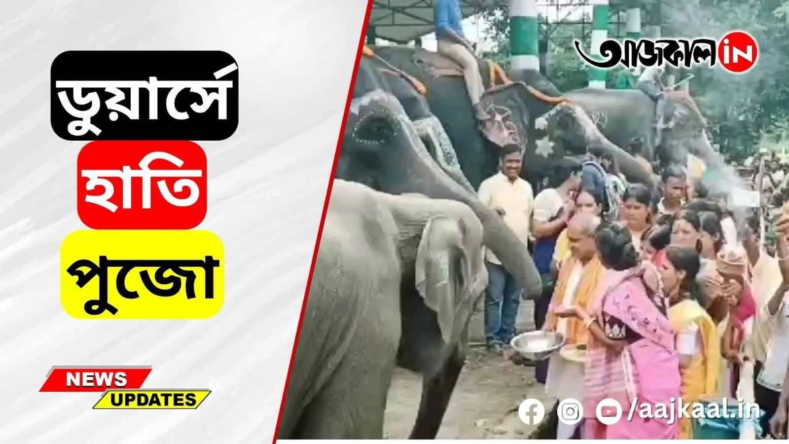 ELEPHANTS BEING WORSHIPED