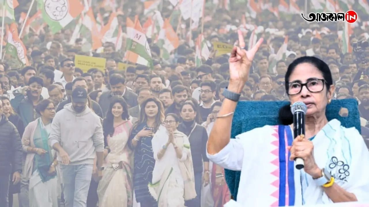 Bengal Election 2026: Mamata Banerjee to Start Election Campaign From North Bengal sources says here update