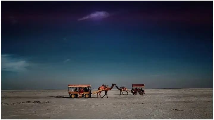 Rann Utsav: ১ নভেম্বর থেকে শুরু হবে গুজরাটের রণ উৎসব! কোথায় থাকবেন? কী কী দেখবেন? 