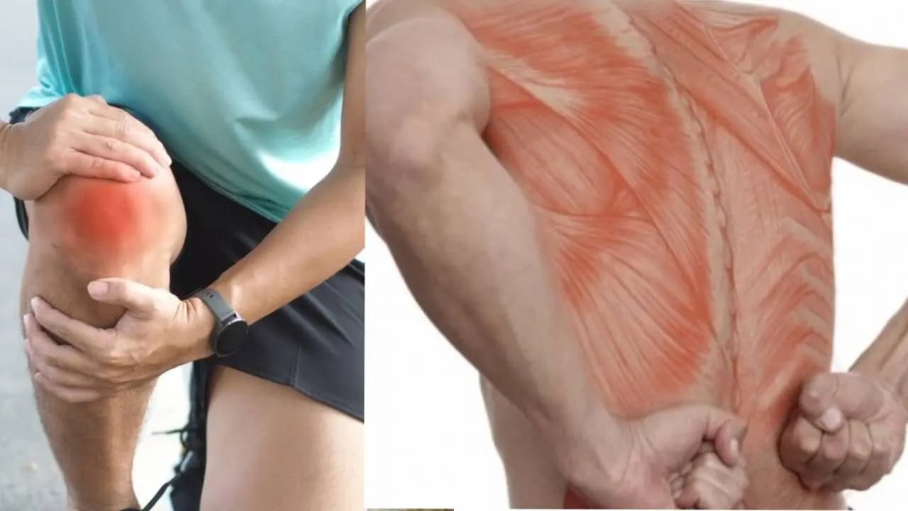 Bay Leaf in Socks: Remedy for Knee and Back Pain Relief