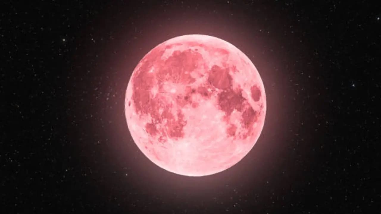 what is the 'Pink Moon', it will be visible in the night sky, when?