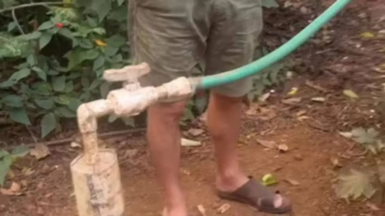 Dudhsagar Plantation in Goa Beats LPG Shortage With 35-Year-Old Sustainable Biogas Model