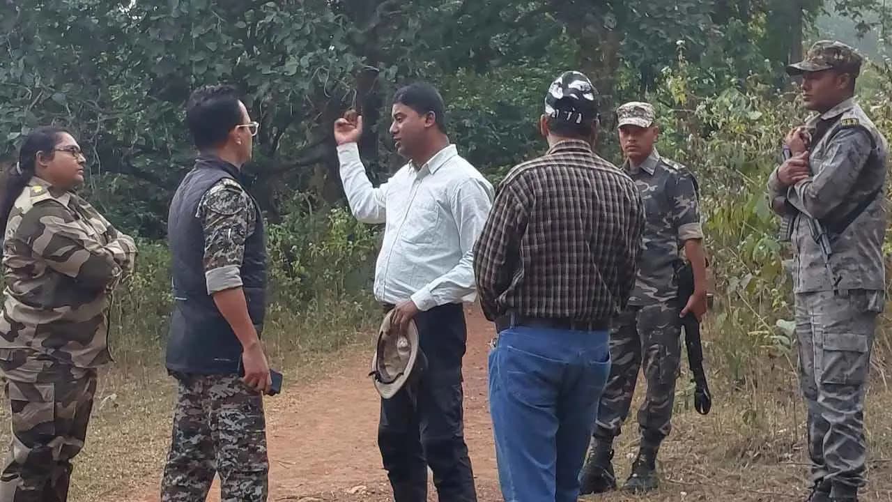 Belpahari tigress found near mayur zharna gnr 