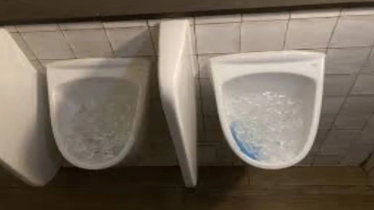 Why is ice kept in the restaurant toilet