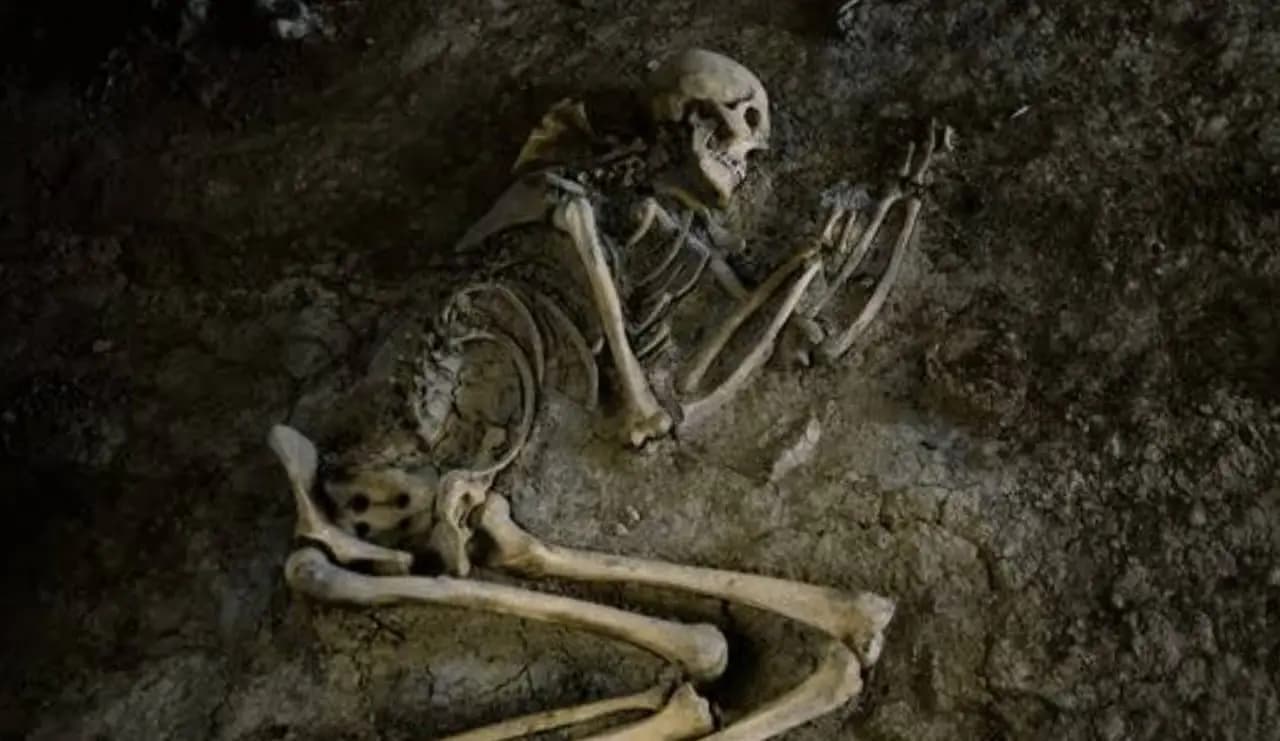 খাস কলকাতায় উদ্ধার হল নরকঙ্কাল।  ঘটনাকে কেন্দ্র করে বৃহস্পতিবার ভরদুপুরে কসবার কমলা পার্ক এলাকায় ব্যাপক চাঞ্চল্য ছড়ায়। স্থানীয় সূত্রে খবর, ওই এলাকার একটি পুরনো বাড়ি সংস্কারের কাজ চলছিল। সেই সময় এই নরকঙ্কালটি দেখতে পাওয়া যায়।