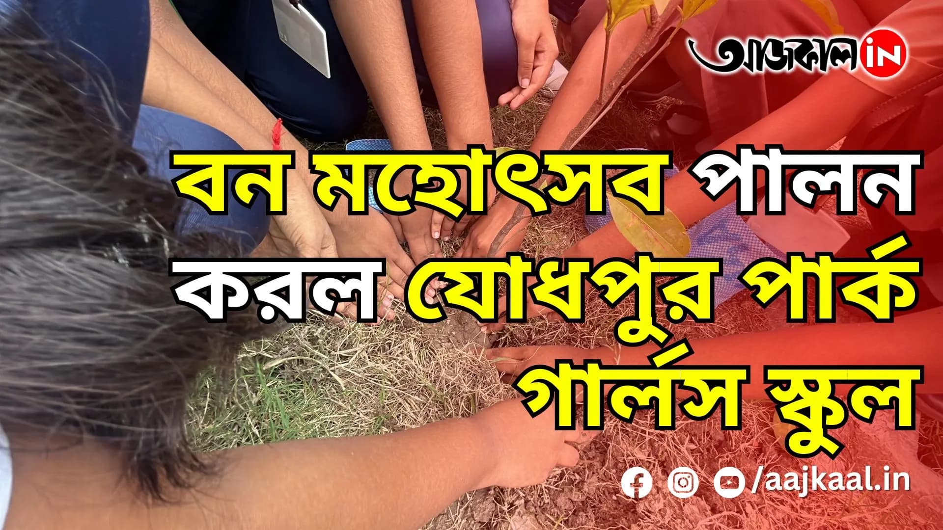 বন মহোৎসব পালন করল যোধপুর পার্ক গার্লস স্কুল